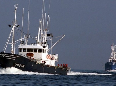 La UE impone el punto final a los descartes, ni un pez por la borda: ¿hacia una pesca sostenible?