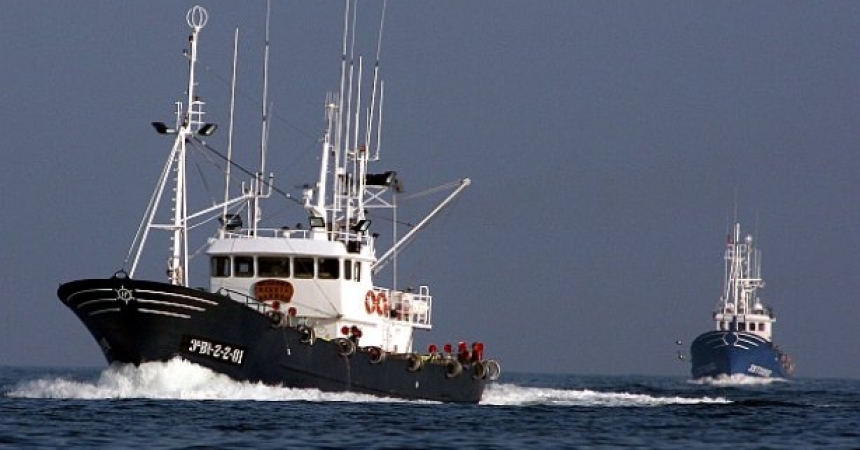 La UE impone el punto final a los descartes, ni un pez por la borda: ¿hacia una pesca sostenible?